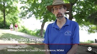 2016 Harmful Algal Bloom Forecast: Dr. Rick Stumpf and Dr. Laura Johnson