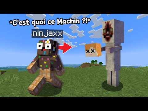 J'ai encore installé des SCP Flippant sur Minecraft..