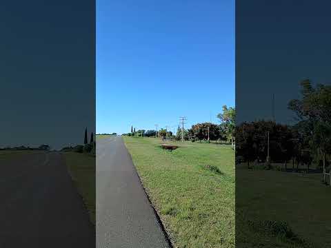 Espinillo Norte. Departamento Parana. Entre Rios. Parte 3