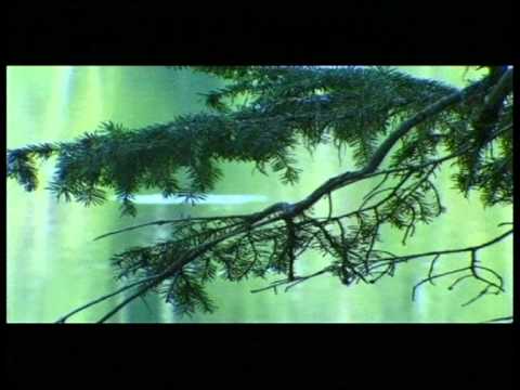 Beltaine - Block Out