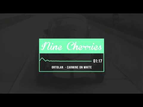 Ortolan - Carmine on White