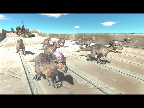 Race to eat Pachycephalosaurus Herd - Animal Revolt Battle Simulator