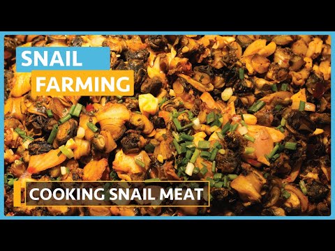 Snail Farming Lesson 1 Introduction