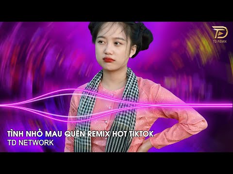 Tình Nhỏ Mau Quên Remix (TD Network) ~ Hôm Nao Hoa Phượng Nở Về Quê Ghé Thăm Nhà Em Remix Hot Tiktok