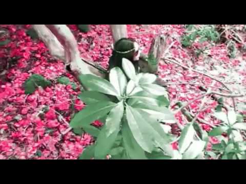 Felguk vs Example   Plastic Smile fuck yeah 10