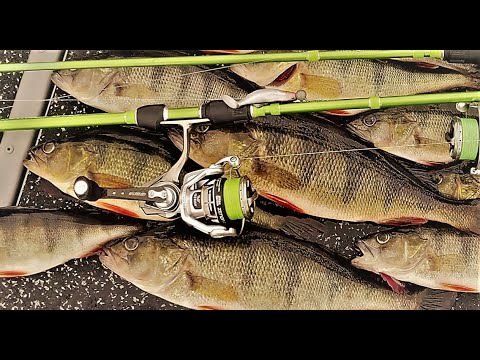 AHVENEN PESIÄ EHTIMÄSSÄ - KALASTA JA KOKKAA - JIGIKALASTUS