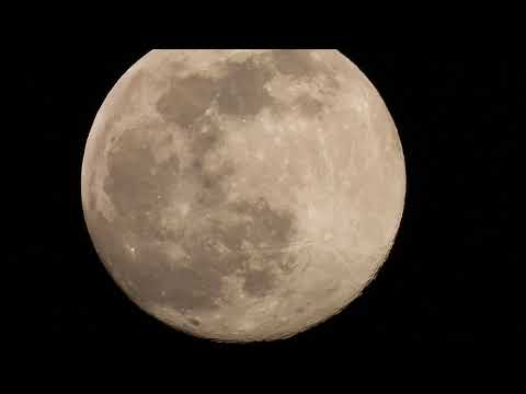 Moon -15 Februarie 2022 Lupeni HD