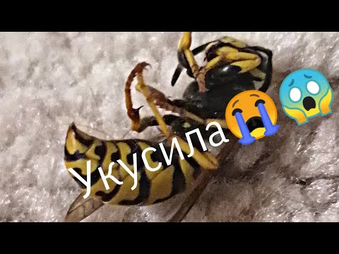Как проходит мой вечер