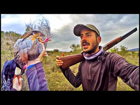 CAZA de la PERDIZ al SALTO ¡Lances de Caza Menor!