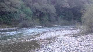 Please open 2014 Trout Season!