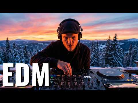 【Avicii style】Avicii inspired Energy Playlist ～The Journey: 10 Tracks of Determination～