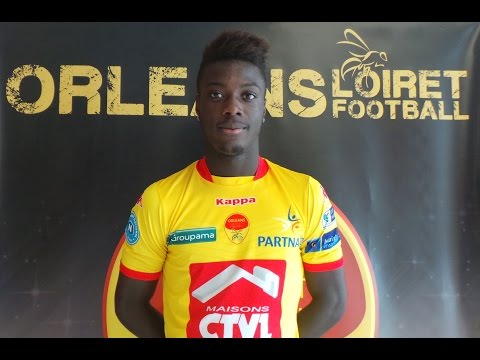 Nicolas Pépé 2015-2016 (highlights)