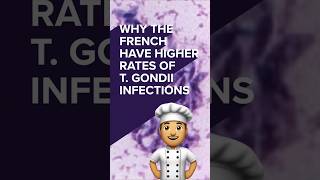 Why the French have higher rates of Toxoplasma gondii infections