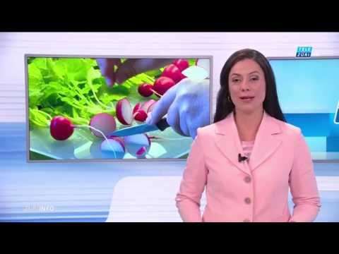 Der Urzeitcode  2/3 TV