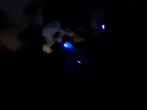 Mentalize ohm - Shivaria 2015