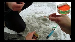 Как правильно варить икру для рыбалки