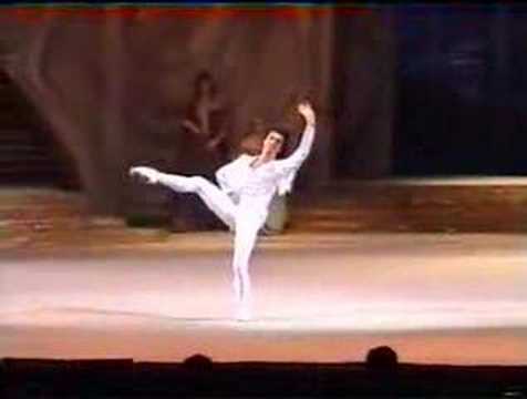 Raymonda Jean de Brienne (variation) Nikolai Tsiskaridze