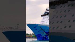 Norwegian Escape 🛳️ #travel #travelvlog #shorts #cruise #vacation #shortvideo #shortsvideo #fun #yt