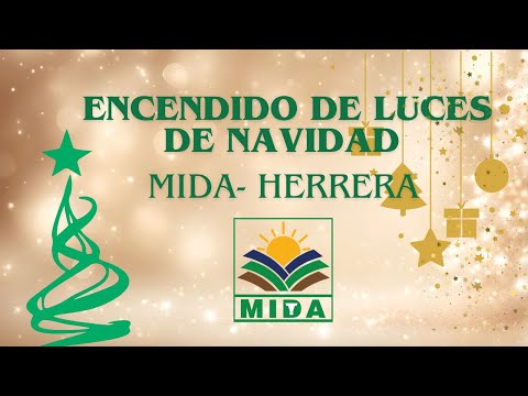 ENCENDIDO DE LUCES DE NAVIDAD EN EL MIDA HERRERA