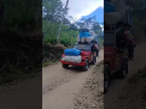 jeep j6 cargado de café hacia Guadalupe Huila #campo #café #jeep
