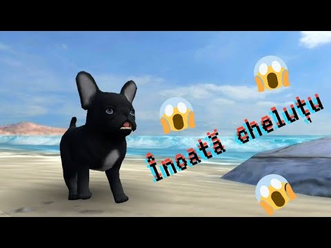 Chelutu feat - Dorian popa