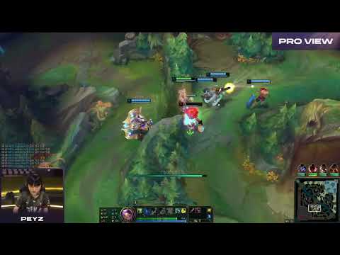Peyz Pro View | GENG vs KT | LCK 2024 Spring