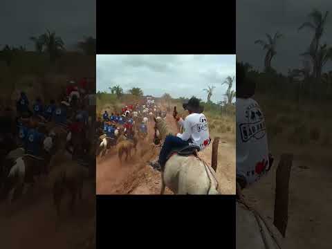 calvogada ém JOSELÂNDIA Ma