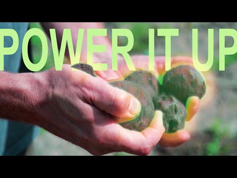 The Best Way to SUPERPOWER Your Soil (For $6 or less)
