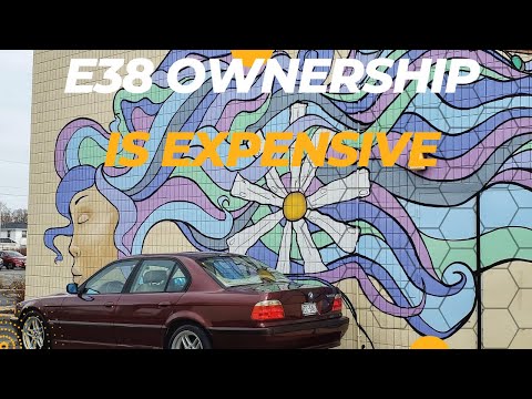 The cost of ownership/maintenance of a neglected E38