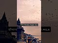 सौभाग्य Se Hindu Dharm Mila Shayri Status 4k किस्मत से हिंदु