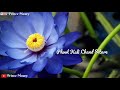 Phool Kali Chand Sitare Krantiveer Romantic Lyrics 30 Second What Sapp Status