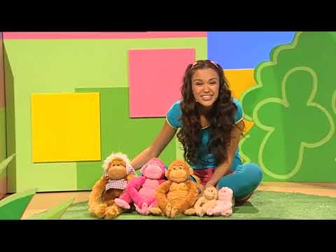 Fely’s Family of Monkeys