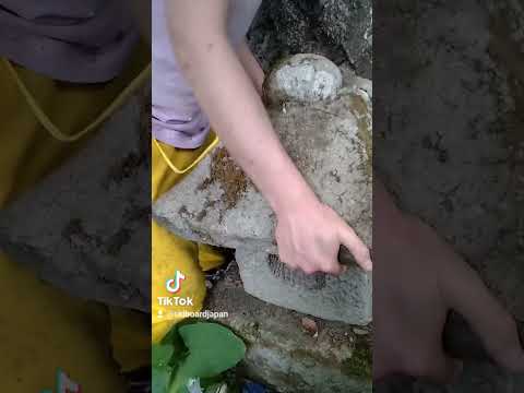 Finding a forgotten shrine in the forest in Japan #japan #shinto #japaneseculture