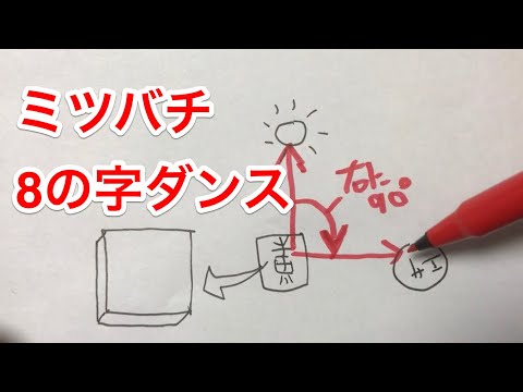 ミツバチはどのようにしてダンスを学ぶのか