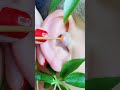 Lovely Massage Parlour Massage Barber ASMR Massage Body Wash Hair With Girl Massage Outdoor