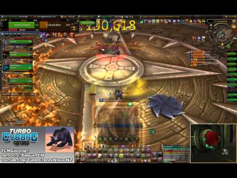 TCN vs. Siegecrafter Blackfuse 10 (Guardian Druid POV)