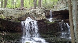 preview picture of video 'Coppermines - Rattlesnake Swamp - njHiking.com'
