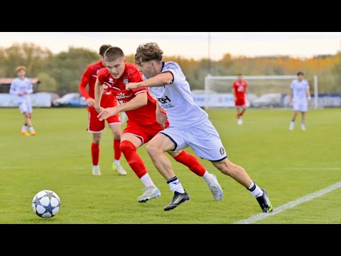 NB III: Puskás Akadémia FC II–VSC 2015 Veszprém 1–2