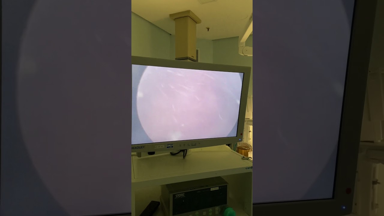 Marco Aurélio Rozado Basso-9