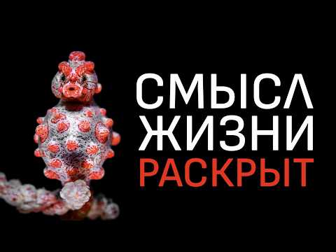 Жизнь — не то, чем кажется