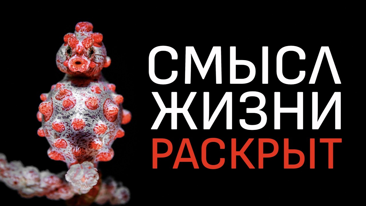 Наука знает, почему мы существуем