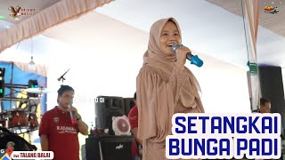 Download lagu GADIS MANIS BERSUARA MERDU BAWAKAN SETANGKAI BUNGA PADI BERSAMA RAJAWALI MUSIC TALANG BALAI mp3