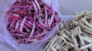 Buzlukta Beyaz Fasulye ve Barbunya Fasulyesi Saklama Yöntemi