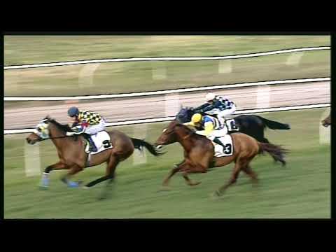 Galoppo 11/02/2020 - 3ª corsa