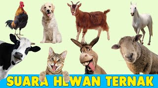 Download lagu Nama dan Suara Hewan Ternak | Suara Binatang untuk Anak mp3