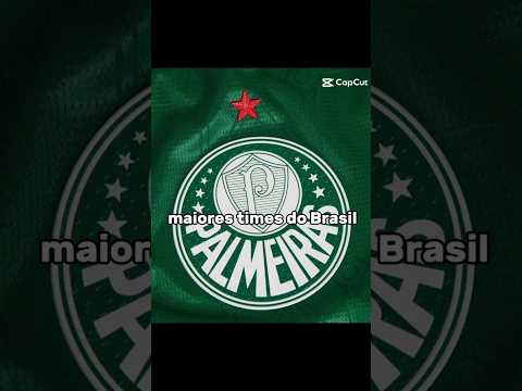 os maiores times do Brasil!! #palmeiras #edit #saopaulo #flamengo #cruzeiro #corinthians