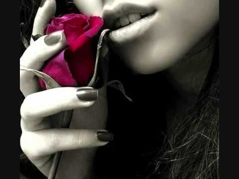 طوعلي العالم رويدا عطية