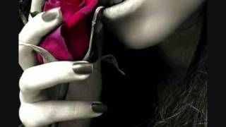 كلمات اغنية طوعلي العالم رويدا عطية