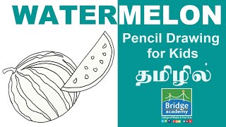 Pencil Drawing for beginners in Tamil | watermelon drawing for kids
