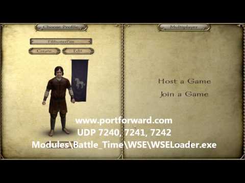 mount and blade warband coop